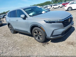 HONDA HONDA CR-V LX AWD