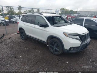 HONDA HONDA PASSPORT ELITE