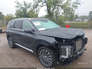 HYUNDAI HYUNDAI PALISADE CALLIGRAPHY