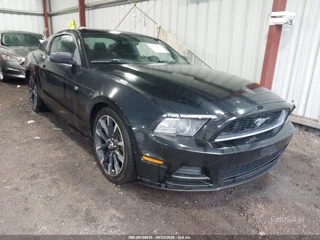 FORD FORD MUSTANG V6