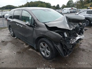 HONDA HONDA ODYSSEY EX-L/EX-L W/NAVI   RES