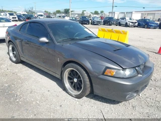FORD FORD MUSTANG 10TH ANNIVERSARY PACKAGE/COBRA