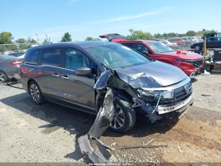 HONDA HONDA ODYSSEY EX-L