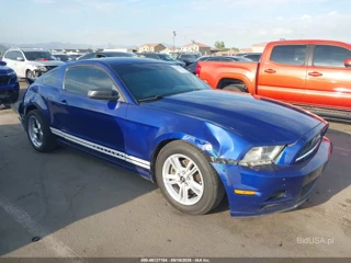 FORD FORD MUSTANG V6