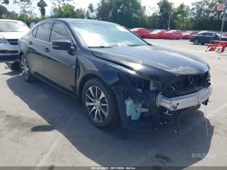 ACURA ACURA TLX