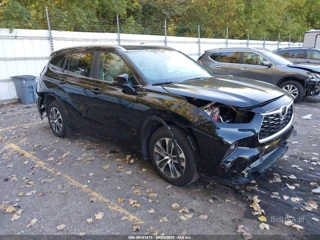 TOYOTA TOYOTA HIGHLANDER XLE