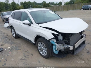 HONDA HONDA CR-V EX-L AWD