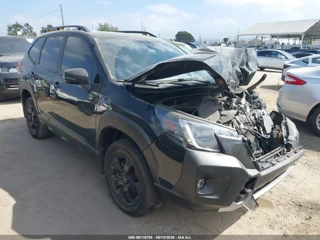 SUBARU SUBARU FORESTER WILDERNESS
