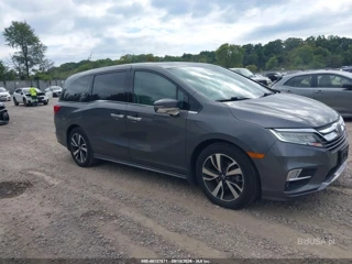 HONDA HONDA ODYSSEY ELITE