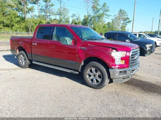FORD FORD F-150 XLT