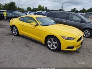 FORD FORD MUSTANG V6