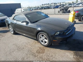 FORD FORD MUSTANG V6