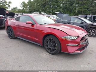FORD FORD MUSTANG ECOBOOST