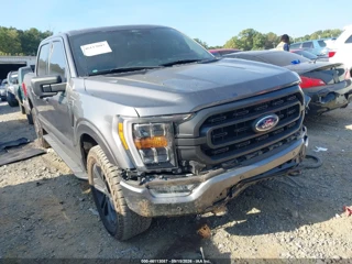 FORD FORD F-150 XLT