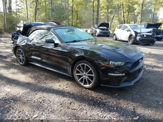 FORD FORD MUSTANG ECOBOOST PREMIUM