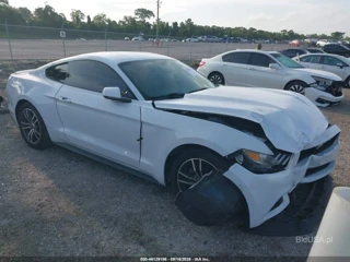 FORD FORD MUSTANG ECOBOOST