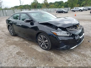 NISSAN NISSAN MAXIMA SL XTRONIC CVT