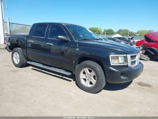 DODGE DODGE DAKOTA BIGHORN/LONESTAR