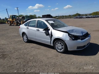 FORD FORD FOCUS SE/SES