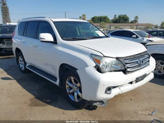 LEXUS LEXUS GX 460