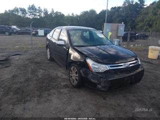 FORD FORD FOCUS SEL