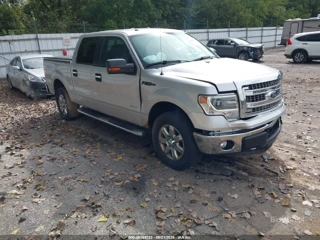 FORD FORD F-150 XLT
