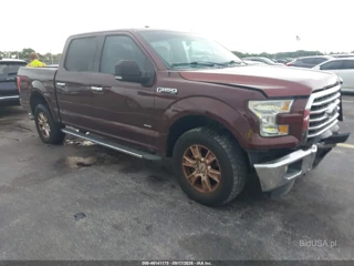 FORD FORD F-150 XLT