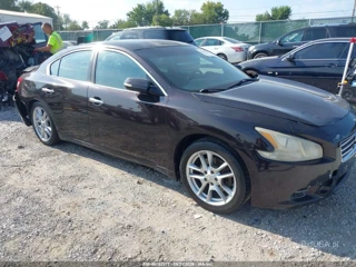 NISSAN NISSAN MAXIMA 3.5 SV