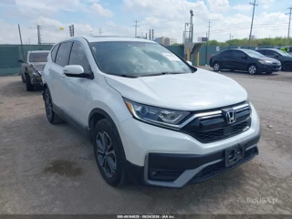 HONDA HONDA CR-V 2WD EX-L