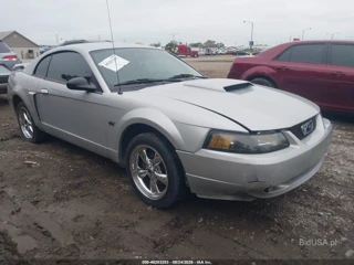 FORD FORD MUSTANG GT DELUXE/GT PREMIUM