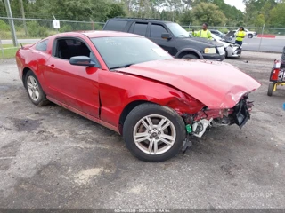 FORD FORD MUSTANG V6