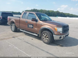 FORD FORD F-150 XLT