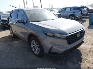 HONDA HONDA CR-V EX AWD