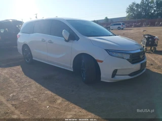 HONDA HONDA ODYSSEY ELITE