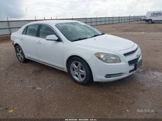 CHEVROLET CHEVROLET MALIBU LT