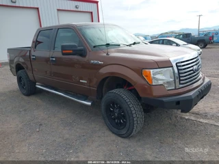 FORD FORD F-150 XLT