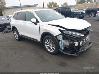 HONDA HONDA CR-V EX 2WD