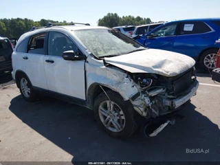 HONDA HONDA CR-V EX