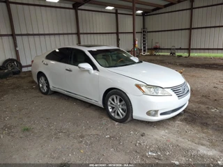 LEXUS LEXUS ES 350
