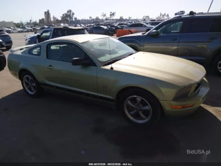 FORD FORD MUSTANG V6