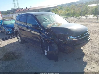 HONDA HONDA CR-V SE