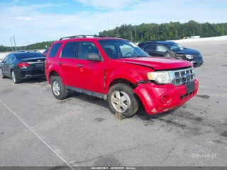 FORD FORD ESCAPE XLT