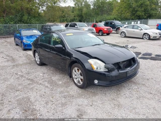 NISSAN NISSAN MAXIMA 3.5 SL