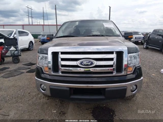 FORD FORD F-150 XLT