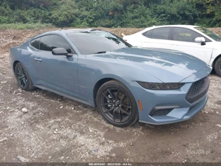 FORD FORD MUSTANG ECOBOOST FASTBACK
