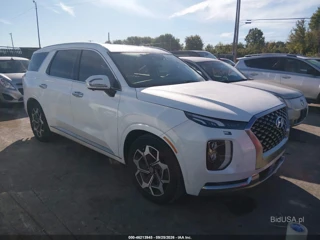 HYUNDAI HYUNDAI PALISADE CALLIGRAPHY