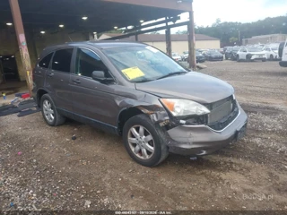 HONDA HONDA CR-V SE