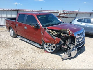 FORD FORD F-150 XLT