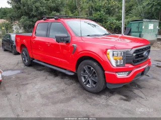 FORD FORD F-150 XLT