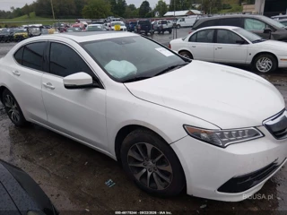 ACURA ACURA TLX TECH